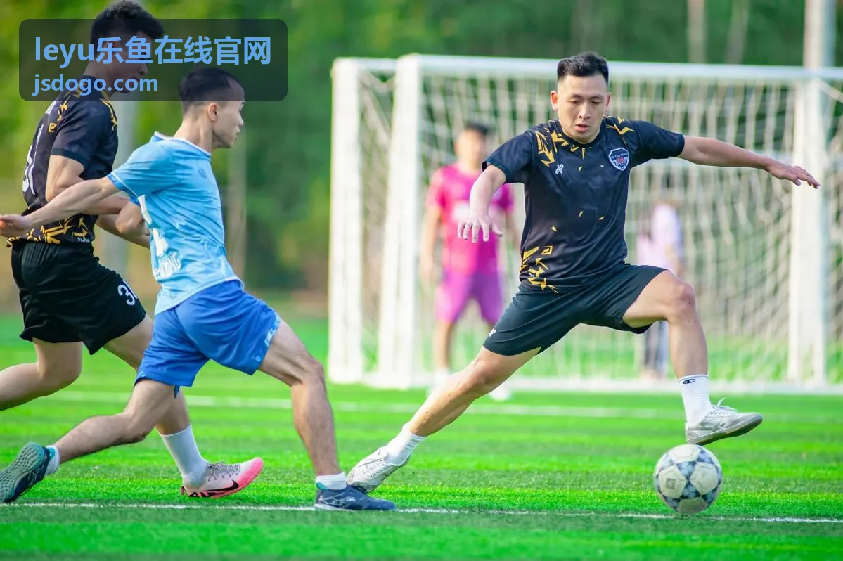 leyu乐鱼在线官网用户信息安全提醒服务入口图