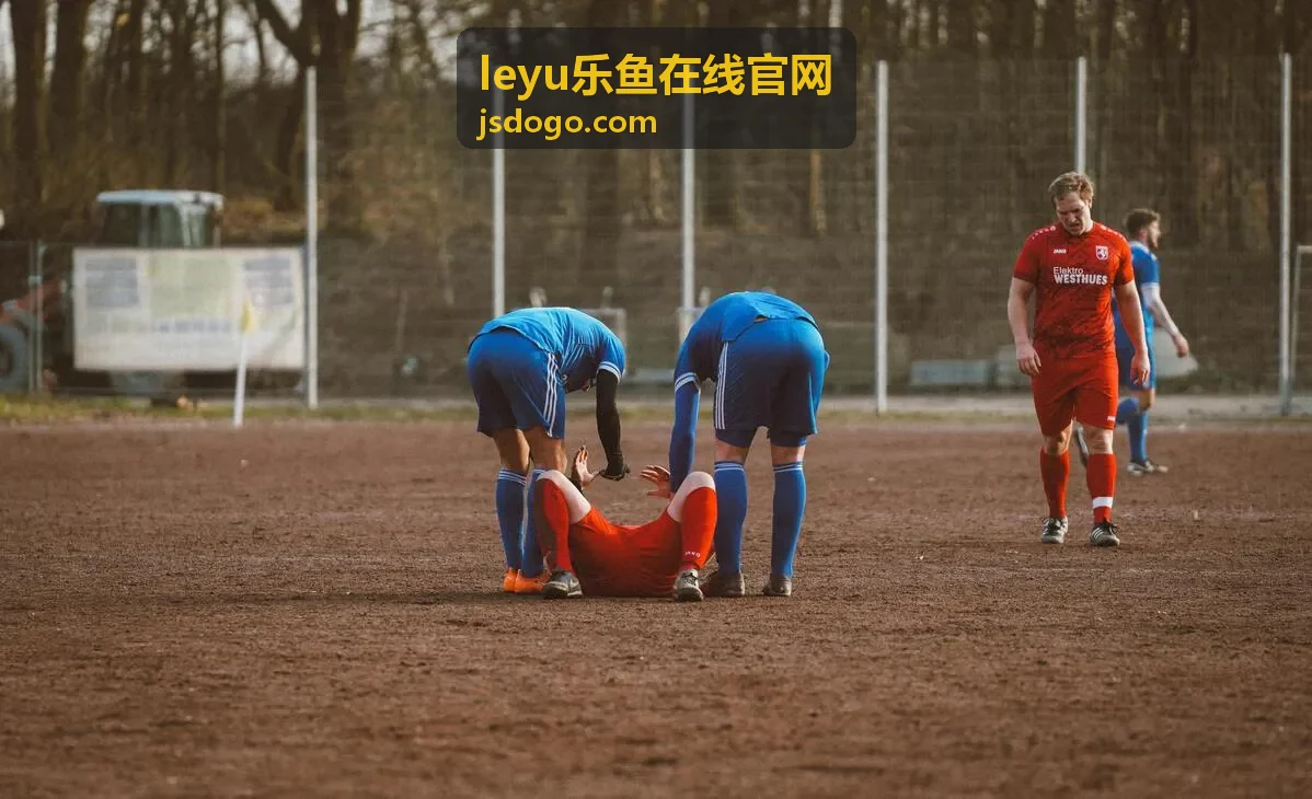 leyu乐鱼在线官网官方咨询渠道说明图示